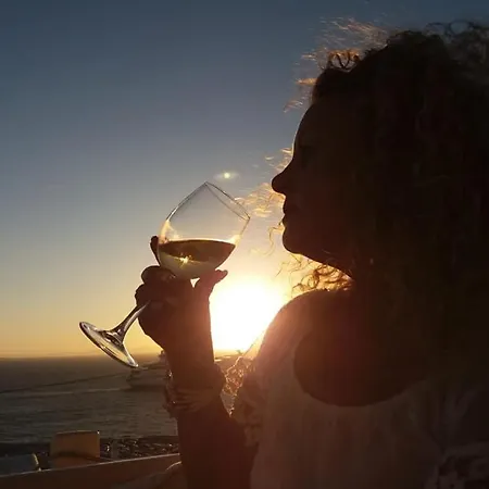 Sunny New Port Mykonos Gasthof 3*