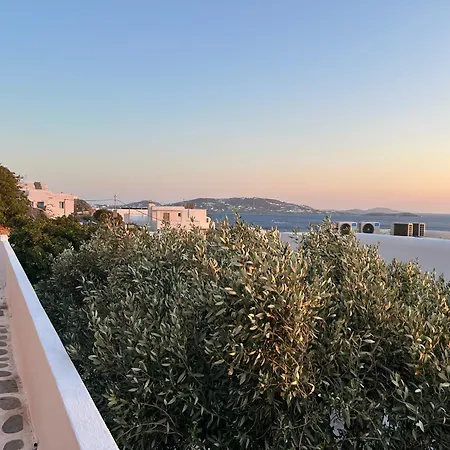 Sunny New Port Mykonos Tourlos