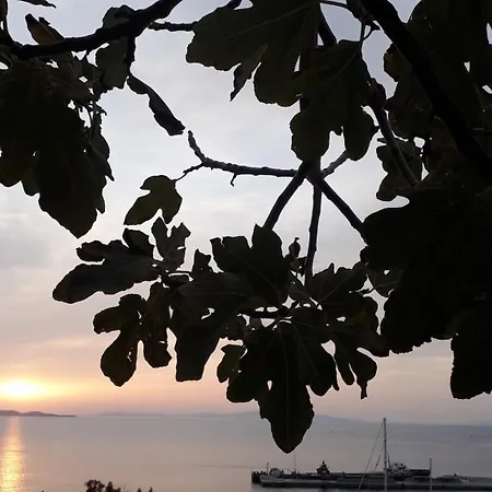 Sunny New Port Mykonos 3* Tourlos