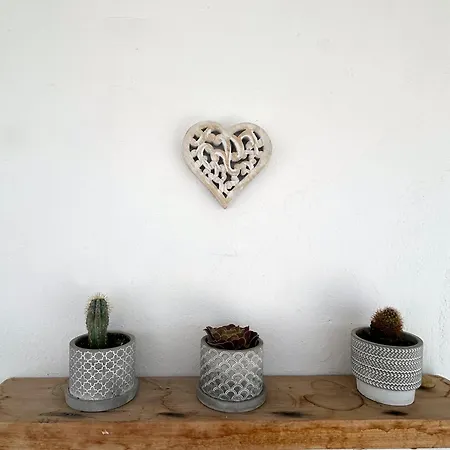 Πανσιόν Sunny New Port Mykonos Τούρλος