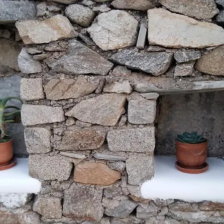 Sunny New Port Mykonos Guest house Tourlos