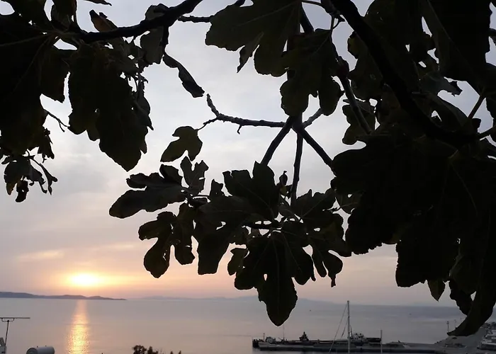 Sunny New Port Mykonos 3* Τούρλος