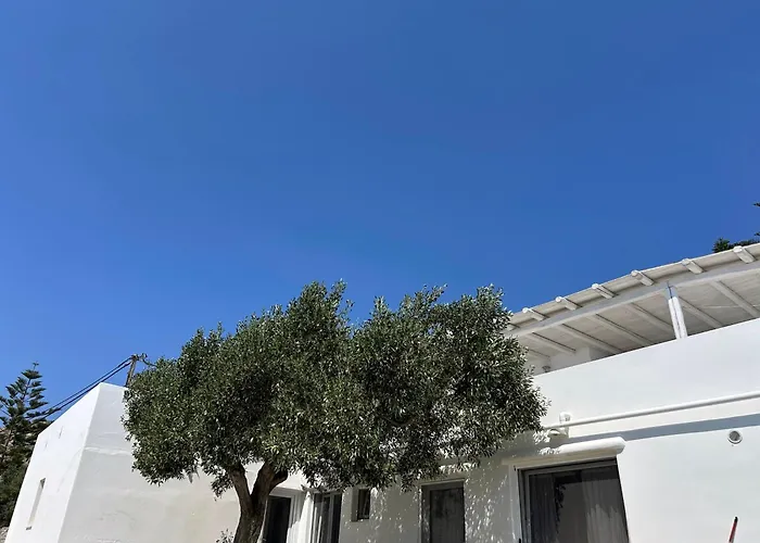 Πανσιόν Sunny New Port Mykonos 3*