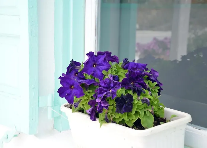 Sunny New Port Mykonos Τούρλος