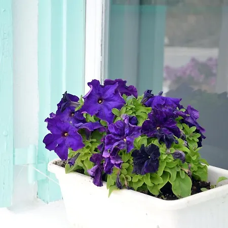 Sunny New Port Mykonos 투를로스