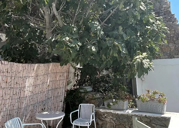 Sunny New Port Mykonos Gæstehus 3*